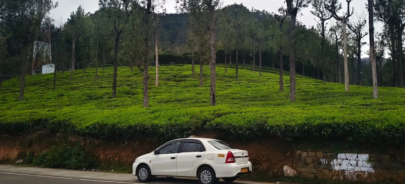 Top outstation taxi solutions with the experienced drivers