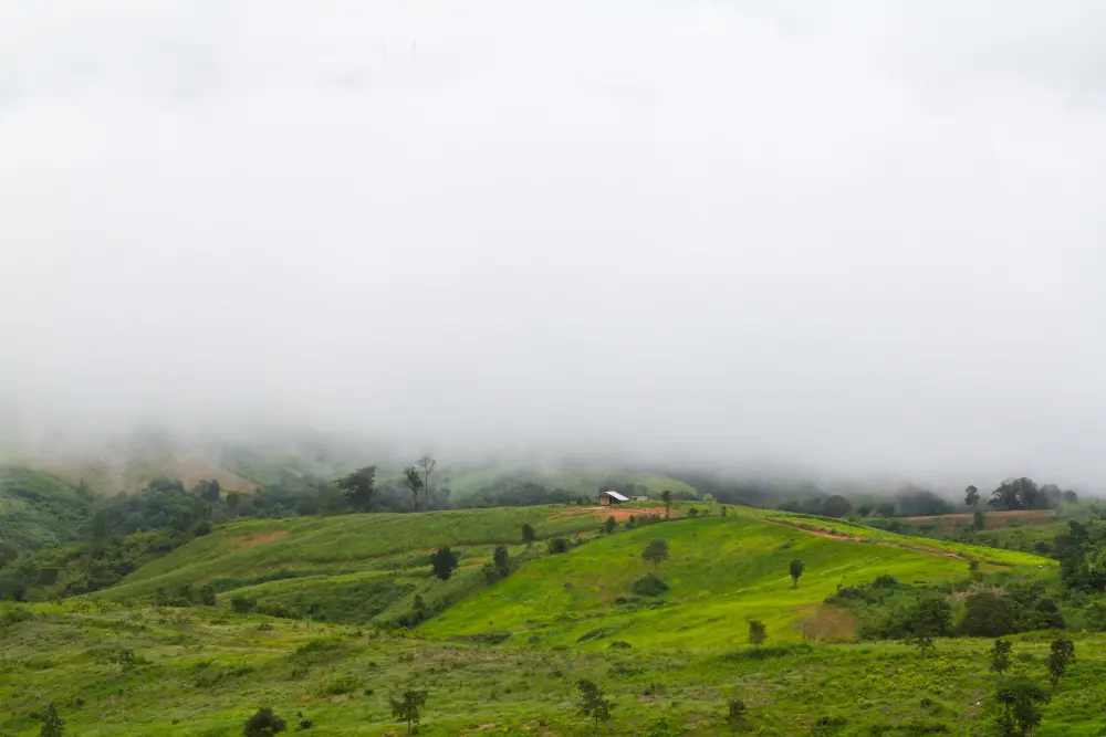 Experienced driver navigating hill roads during a monsoon trip from Tirupur